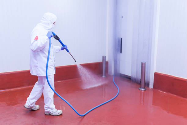 Best Roof Cleaning and Mildew Removal in Laurinburg, NC